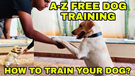 youtube dog training|free dog training videos youtube.